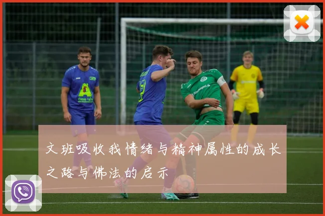 文班吸收我情绪与精神属性的成长之路与佛法的启示